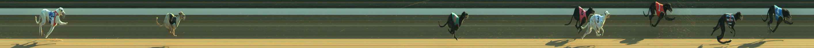Photo finish for Warragul Race 2