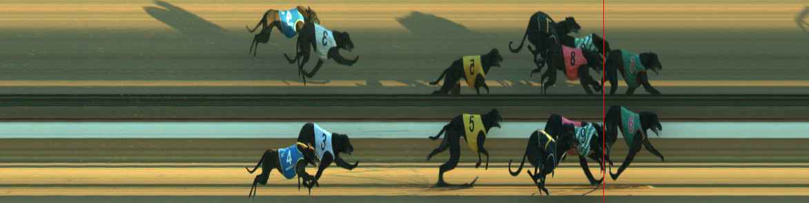Photo finish for Warragul Race 4