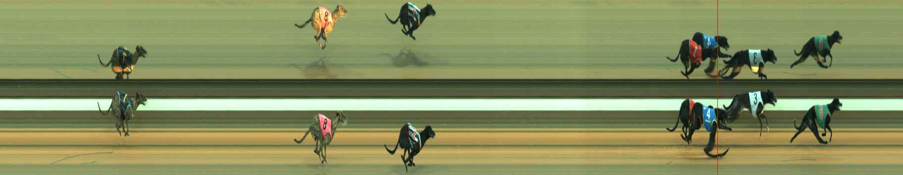 Photo finish for Warragul Race 5