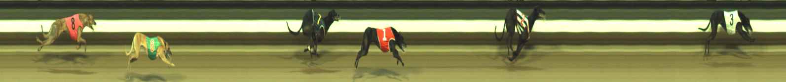 Photo finish for Warragul Race 8