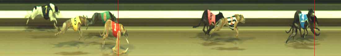 Photo finish for Warragul Race 9