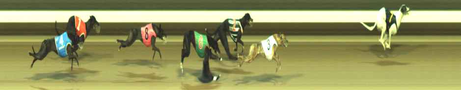 Photo finish for Warragul Race 10