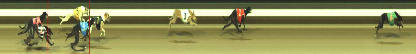 Photo finish for Warragul Race 11