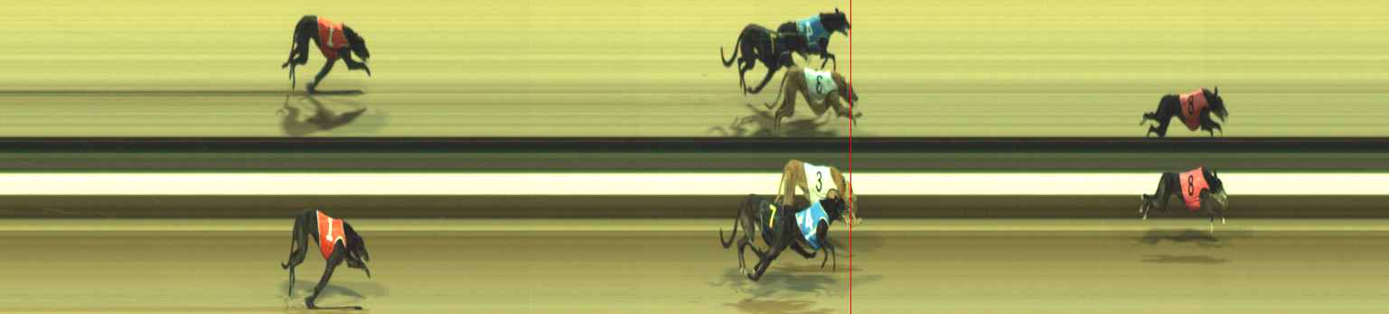 Photo finish for Warragul Race 12