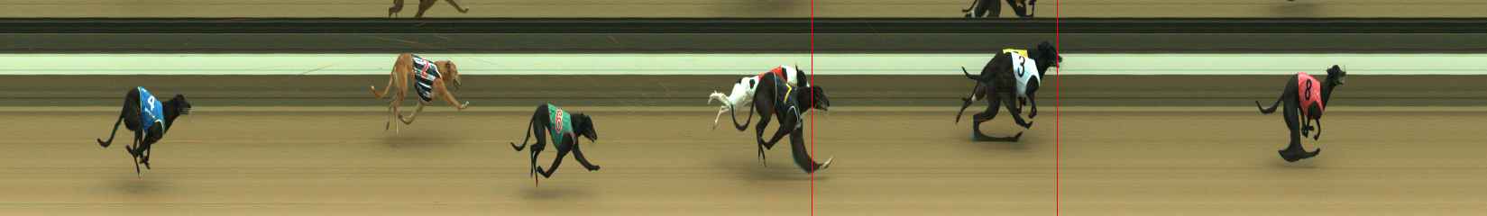 Photo finish for Warragul Race 2