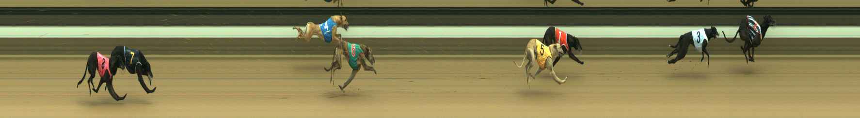 Photo finish for Warragul Race 3