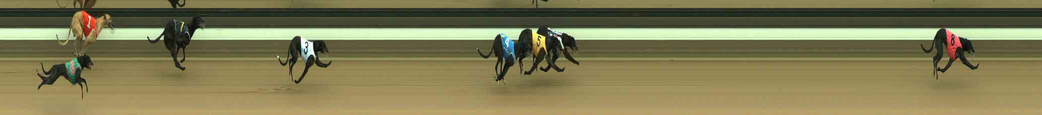 Photo finish for Warragul Race 5