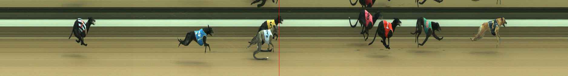 Photo finish for Warragul Race 6