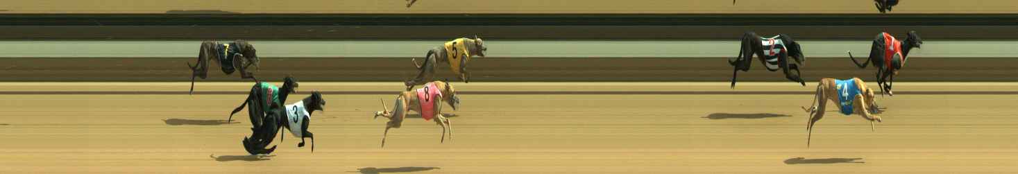 Photo finish for Warragul Race 8