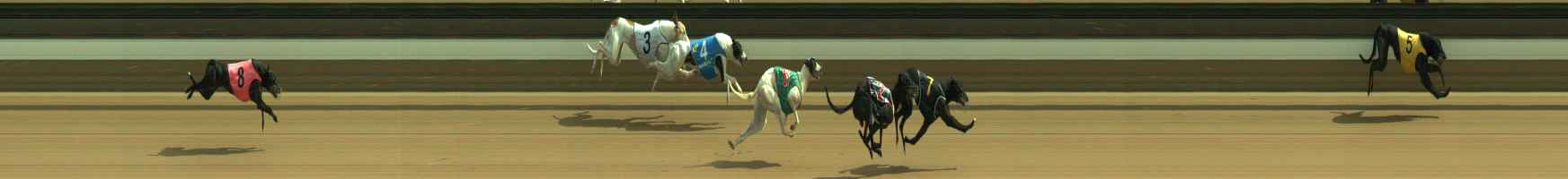 Photo finish for Warragul Race 9