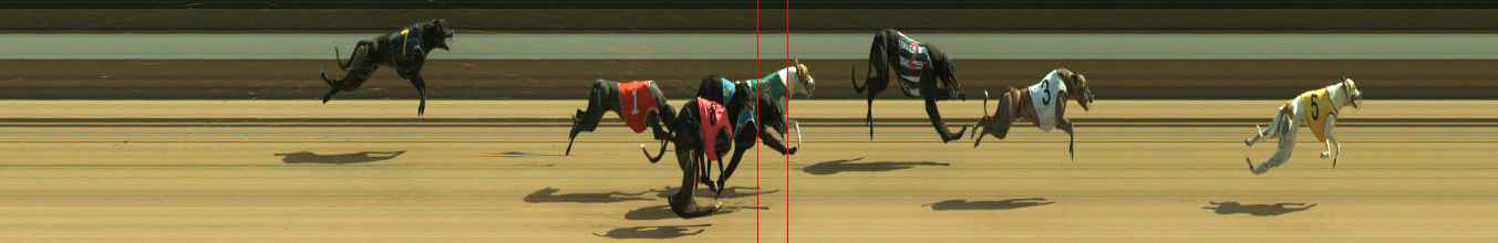 Photo finish for Warragul Race 10