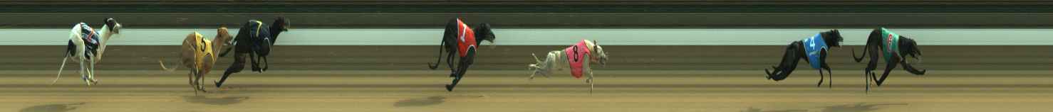 Photo finish for Warragul Race 11