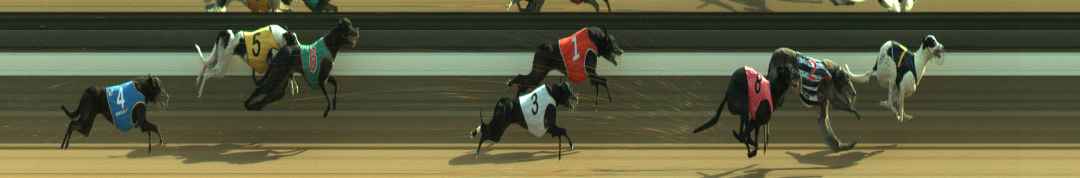 Photo finish for Warragul Race 12