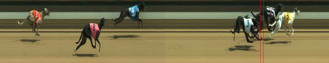 Photo finish for Warragul Race 5