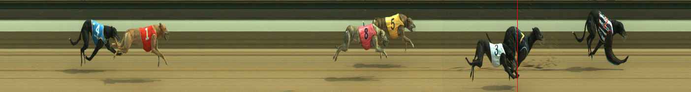Photo finish for Warragul Race 8