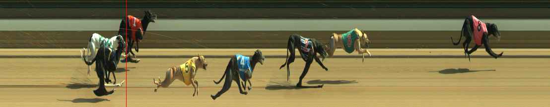 Photo finish for Warragul Race 10