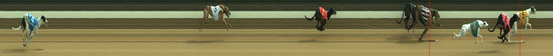 Photo finish for Warragul Race 11