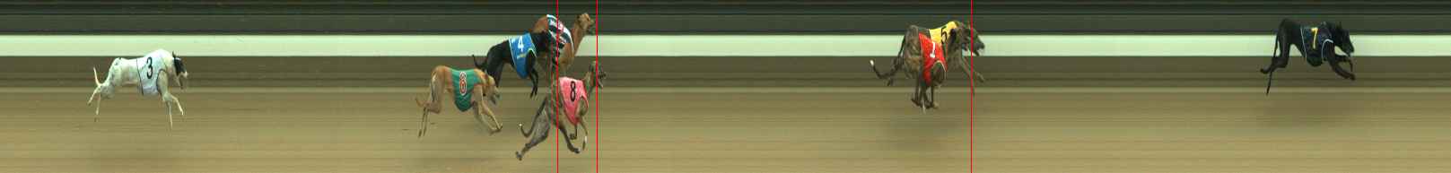 Photo finish for Warragul Race 12
