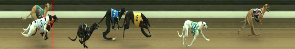 Photo finish for Warragul Race 1