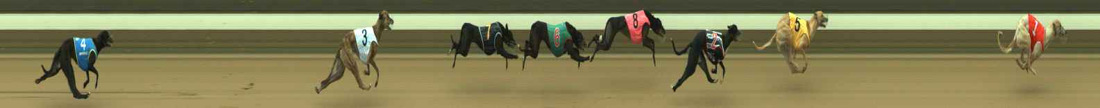 Photo finish for Warragul Race 2