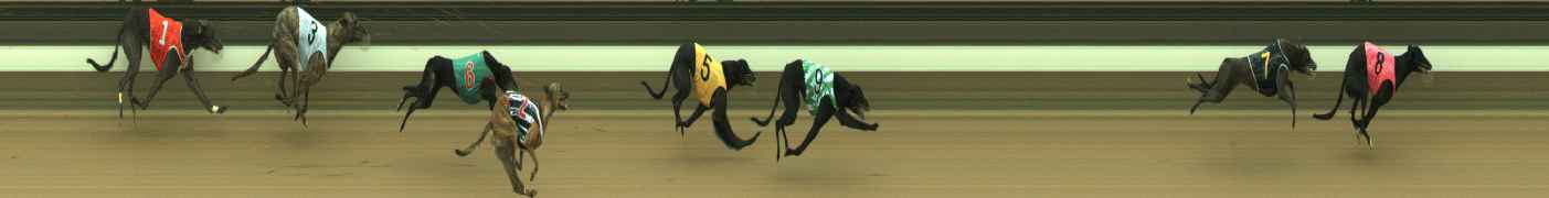 Photo finish for Warragul Race 4