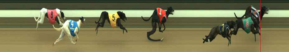 Photo finish for Warragul Race 5