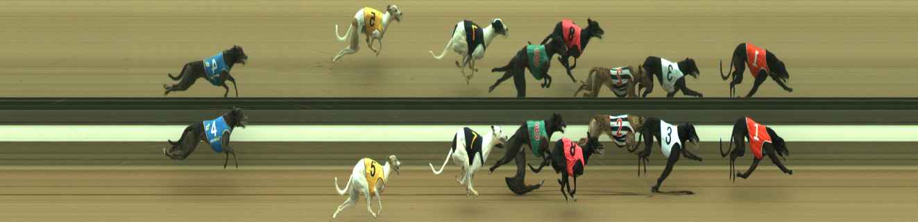 Photo finish for Warragul Race 7
