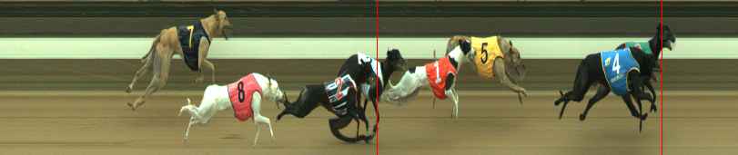 Photo finish for Warragul Race 8