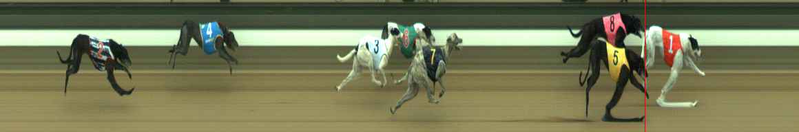 Photo finish for Warragul Race 11