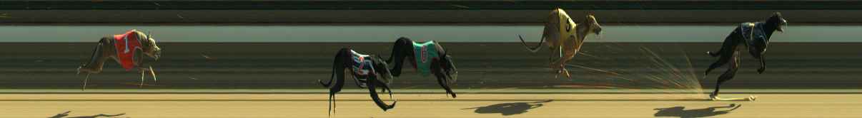 Photo finish for Warragul Race 1