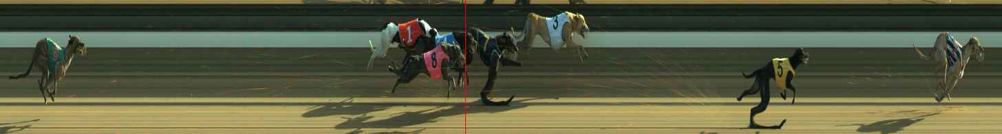 Photo finish for Warragul Race 2