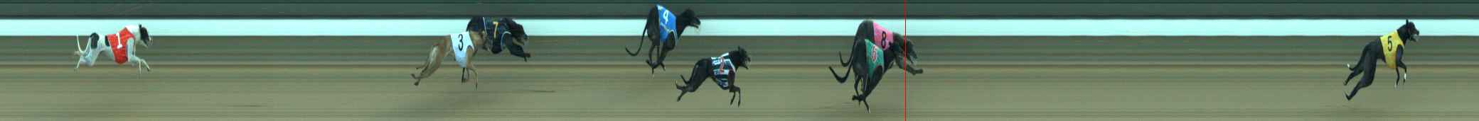 Photo finish for Warragul Race 3