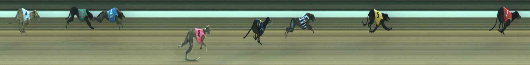 Photo finish for Warragul Race 4