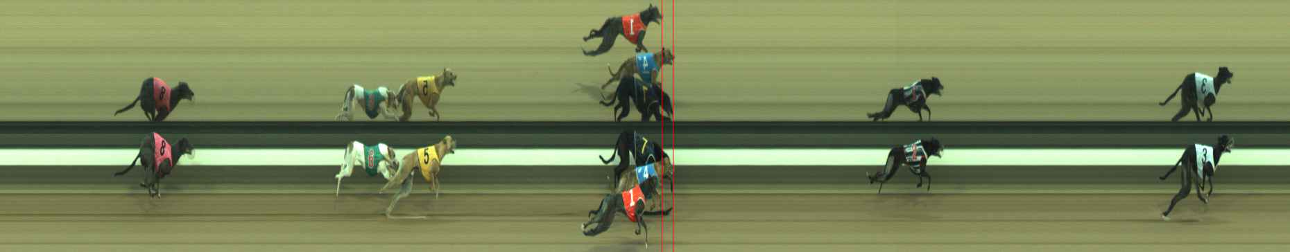 Photo finish for Warragul Race 5
