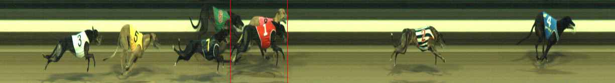 Photo finish for Warragul Race 6