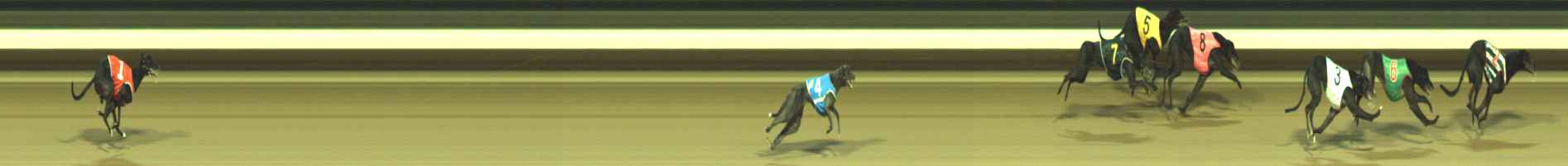 Photo finish for Warragul Race 7