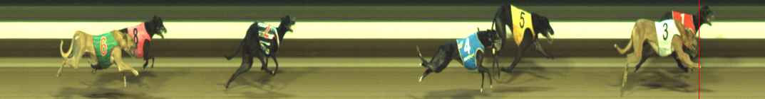 Photo finish for Warragul Race 8