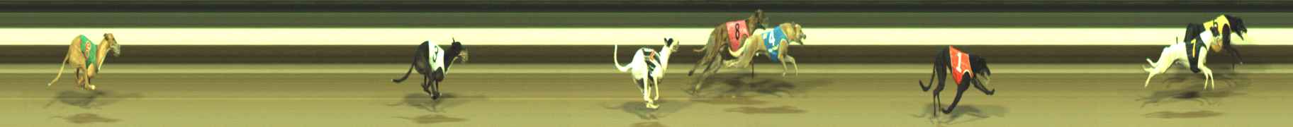 Photo finish for Warragul Race 10