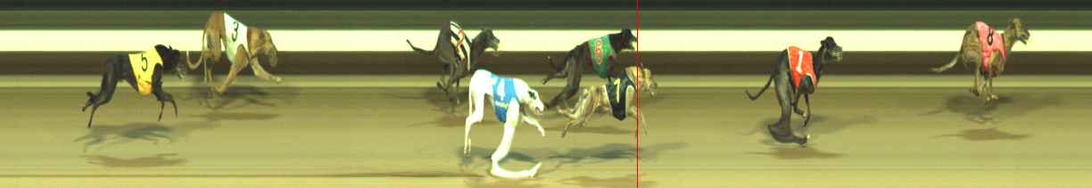 Photo finish for Warragul Race 11