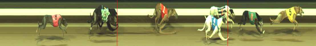Photo finish for Warragul Race 12