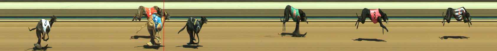 Photo finish for Warragul Race 1