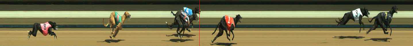 Photo finish for Warragul Race 2
