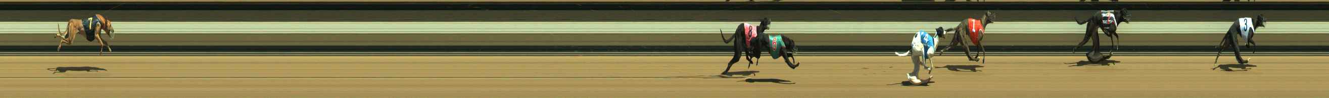 Photo finish for Warragul Race 3