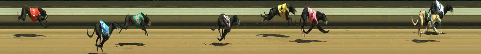 Photo finish for Warragul Race 4