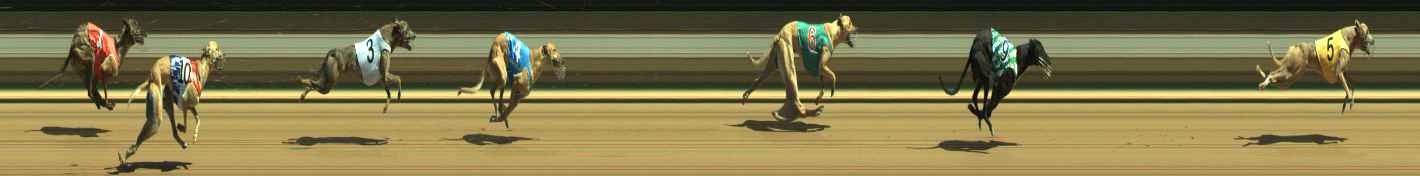 Photo finish for Warragul Race 5
