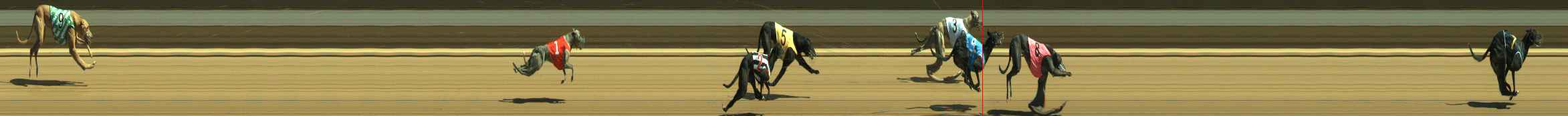 Photo finish for Warragul Race 6
