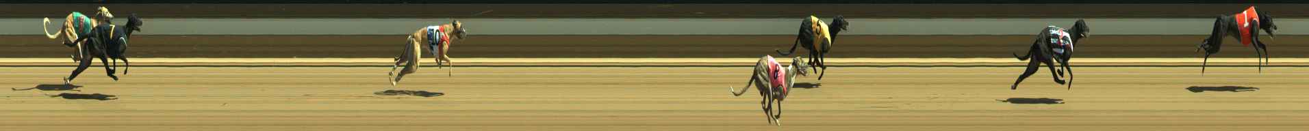 Photo finish for Warragul Race 7