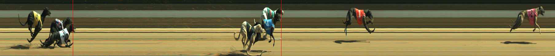 Photo finish for Warragul Race 9