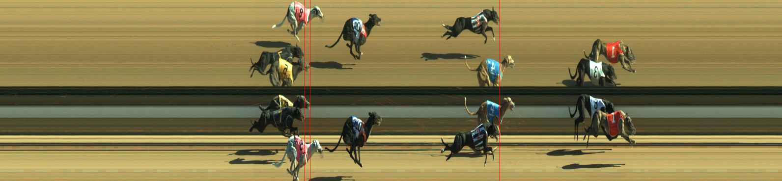 Photo finish for Warragul Race 11