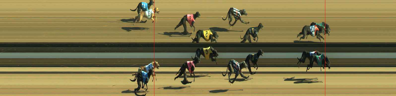 Photo finish for Warragul Race 12